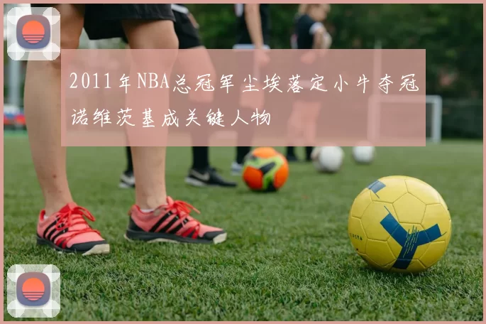 2011年NBA总冠军尘埃落定小牛夺冠诺维茨基成关键人物
